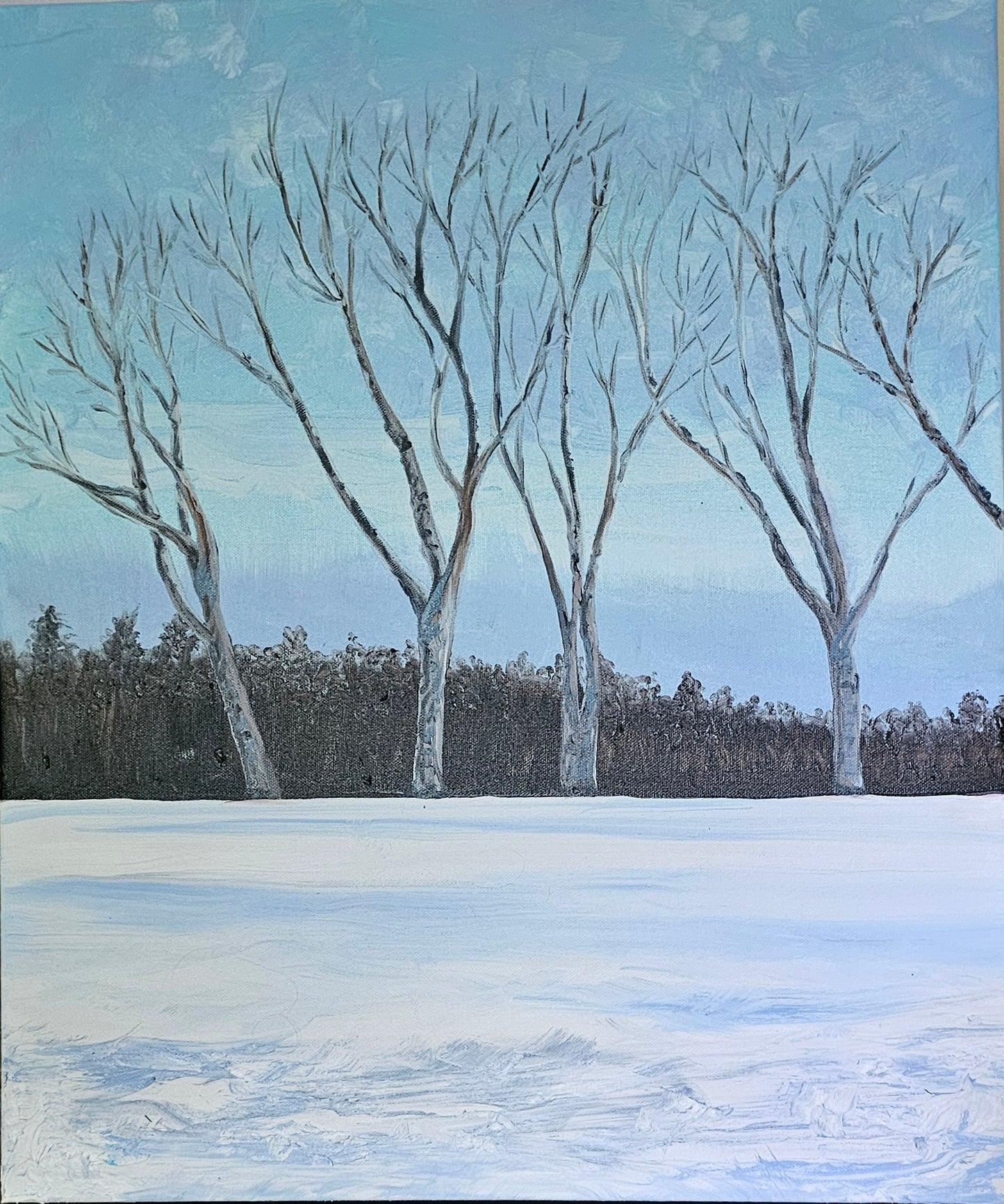 Silver birch in winter